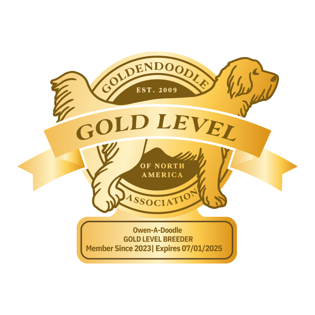 Goldendoodle Association Gold Level Breeder Certified
